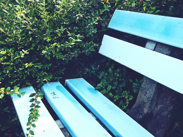 仅能开阔眼 仅能开阔眼