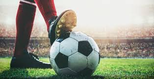 球队赢得了 球队赢得了