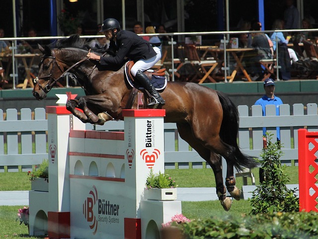 还在比赛尾 还在比赛尾